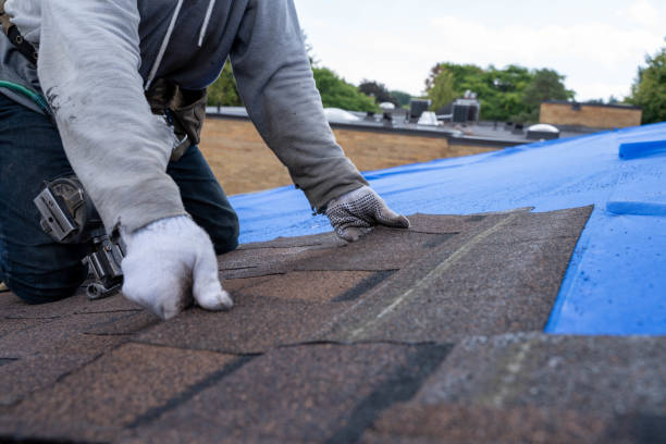 Best Roof Leak Repair  in Rapids, NY