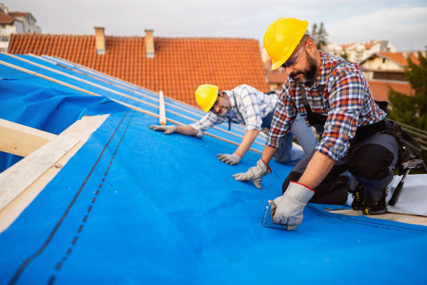 Best Gutter Installation and Roofing  in Rapids, NY