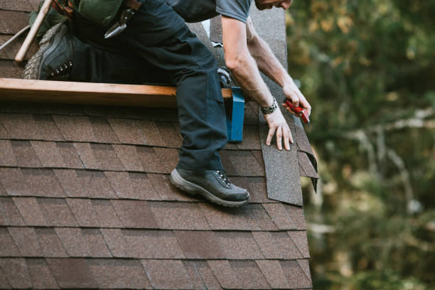 Best Roof Restoration Services  in Rapids, NY